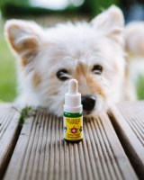 _vyrn_971CBD-3-10-ml-pre-psov-a-macky